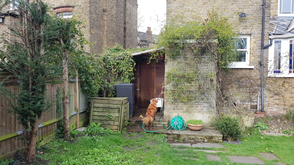 Culverden Road, London SW12 - Before