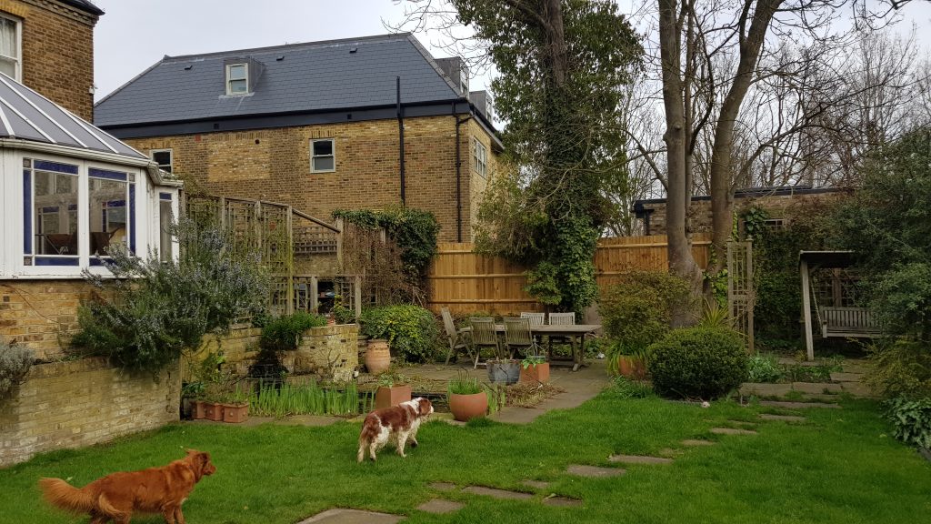 Culverden Road, London SW12 - Before